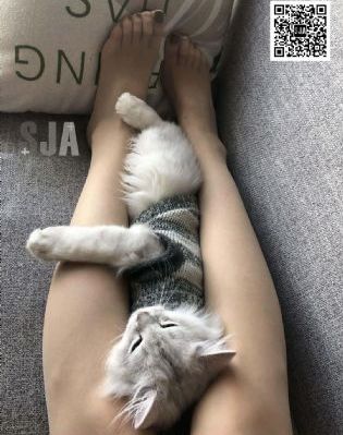 延禧攻略免费版全集在线看_1080P全集在线观看